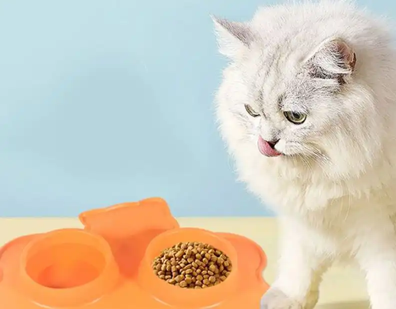 Silicone Cat Bowl: The Ultimate Guide for Pet Owners